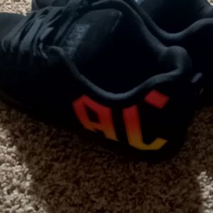 AC/DC branded DC shoes